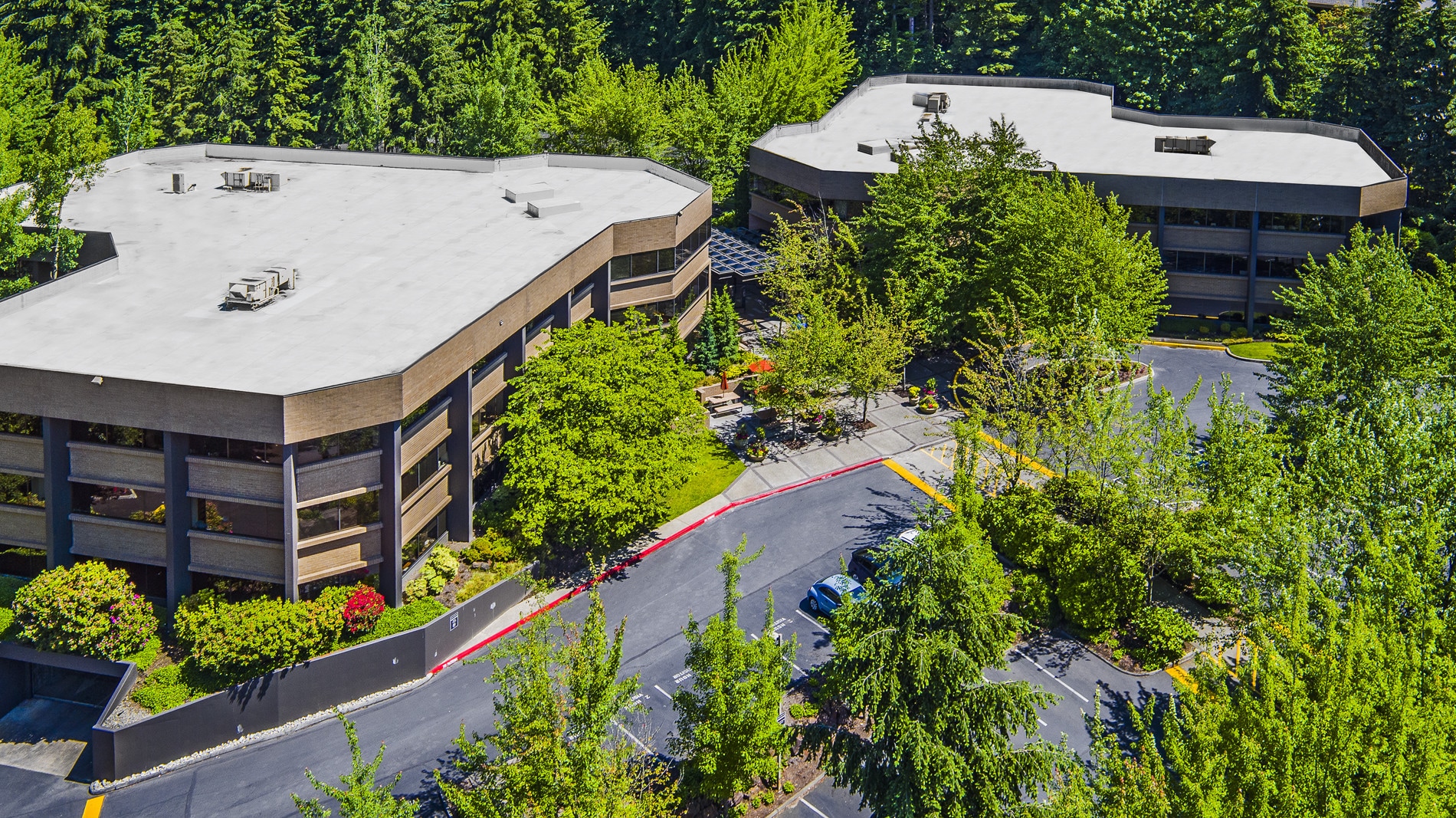 11808 Northup Way, Bellevue, WA for Rent