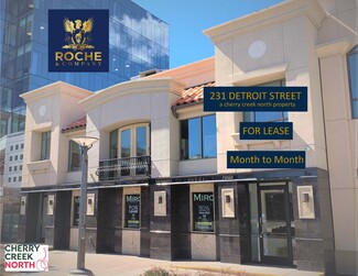 Denver, CO Office/Retail - 231 Detroit St