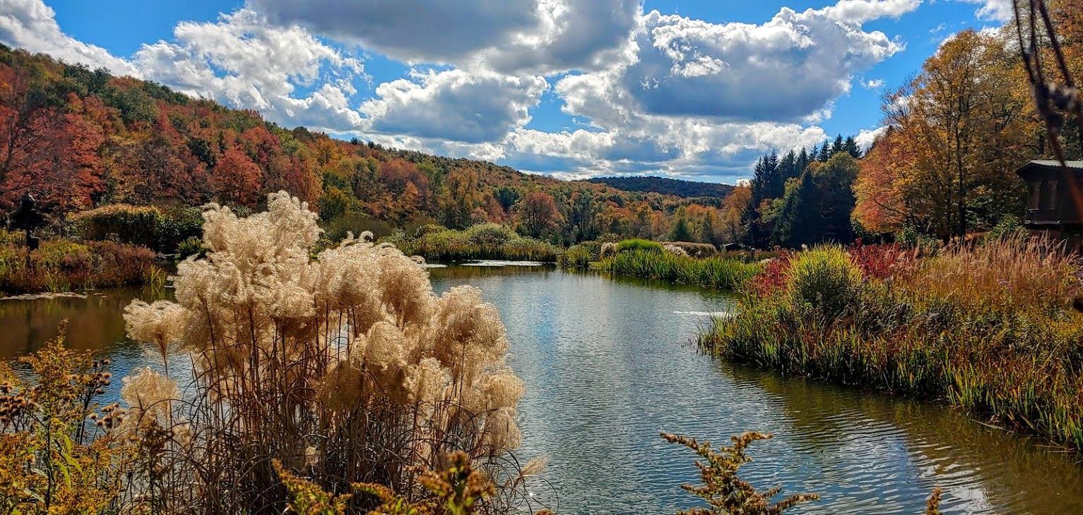 304 Sutherland Rd, East Meredith, NY for Sale