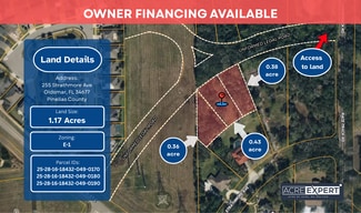 Oldsmar, FL Residential - 255 Strathmore Ave