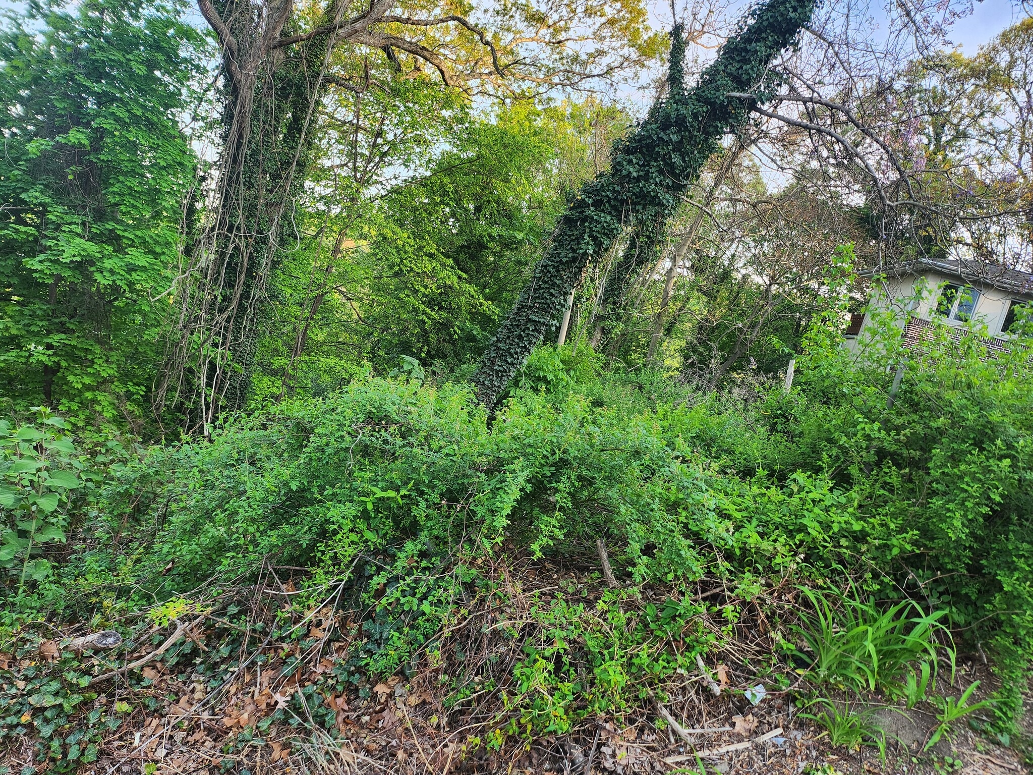 Fernwood Ln, Roslyn, NY for Sale