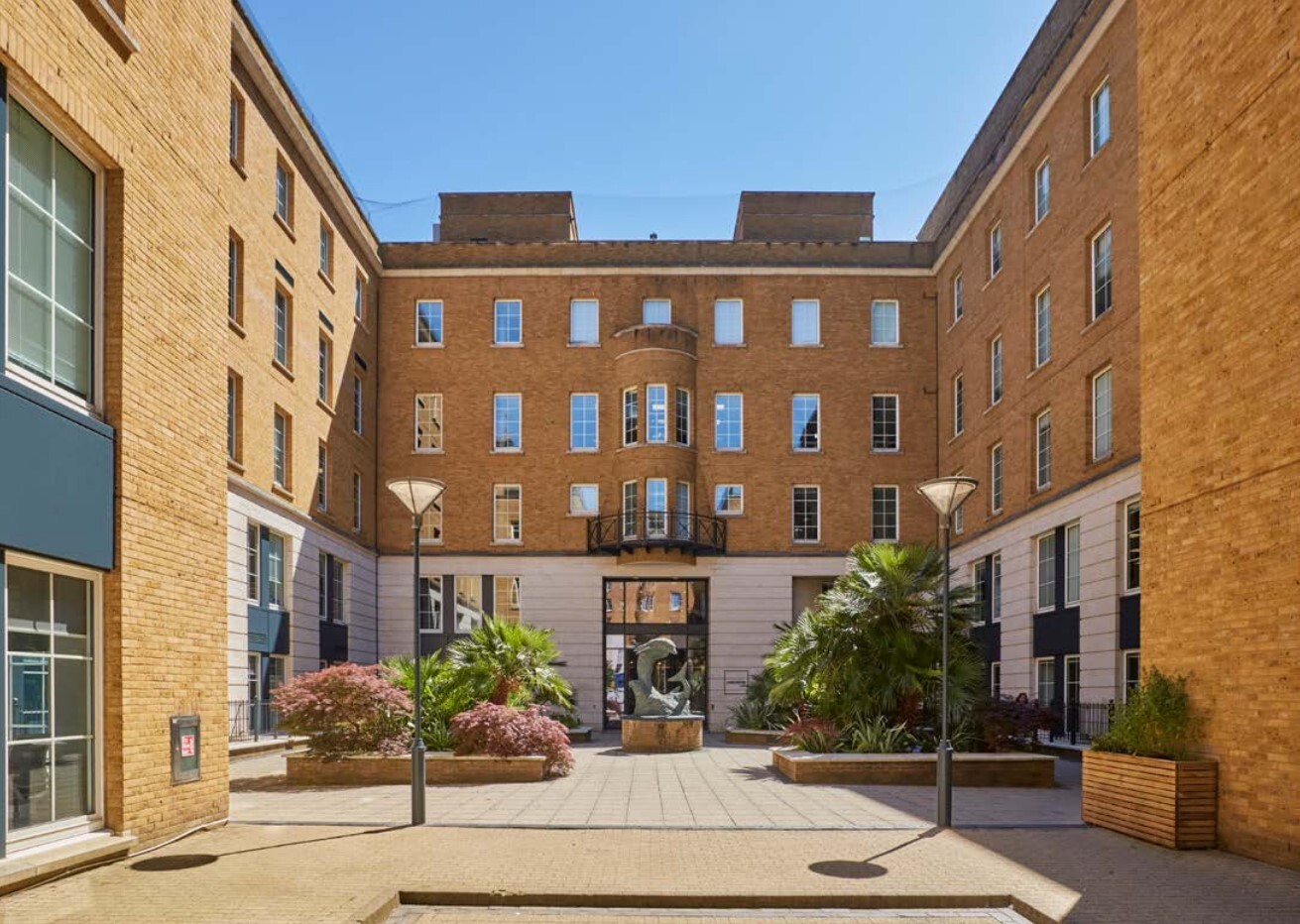 Trafalgar Pl, Brighton, ESX for Rent