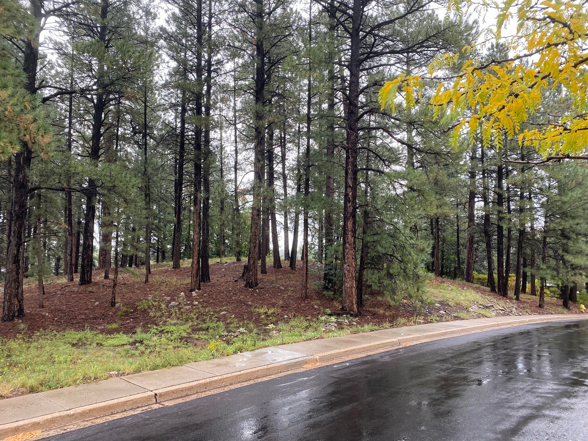740 W University Heights Dr S Flagstaff, AZ 86005 Land Property for