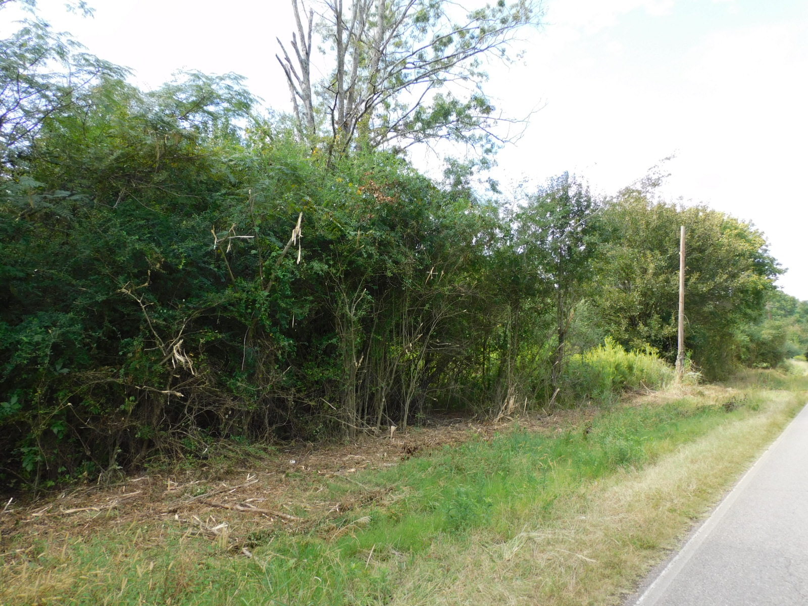 1389-1409 Creswell Rd, Harpersville, AL for Sale