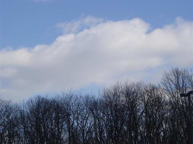 Red Mill Rd, East Greenbush, NY for Sale