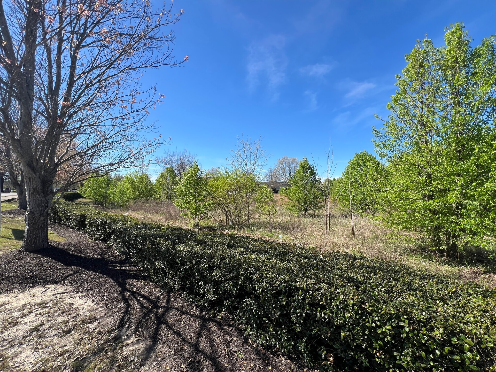 8135 Country Village Dr, Cordova, TN for Sale