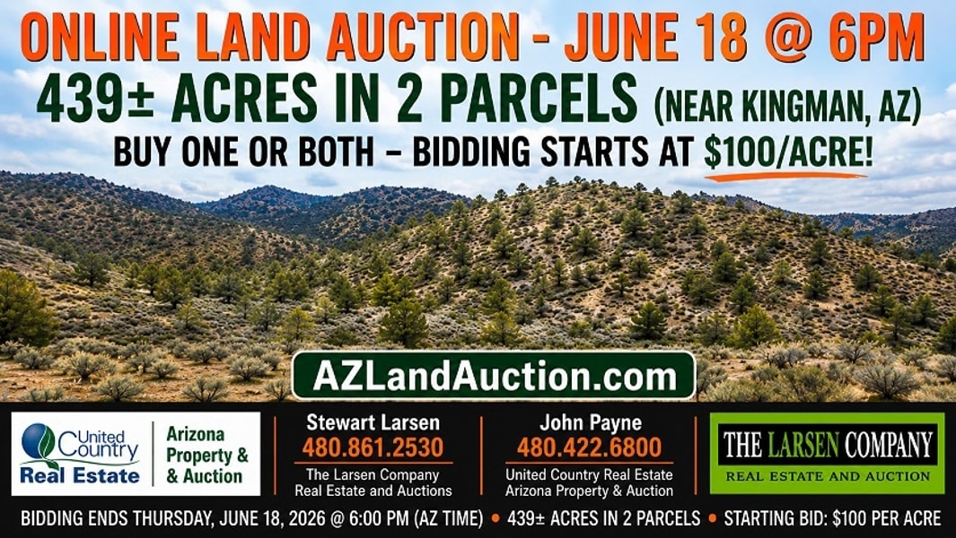 6727 N Trap Springs Rd, Hackberry, AZ for Sale