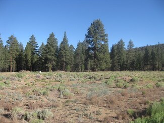Big Bear City, CA Residential Land - 2824 Erwin Ranch Rd Big Bear City, CA Residential Land - 2824 Erwin Ranch Rd