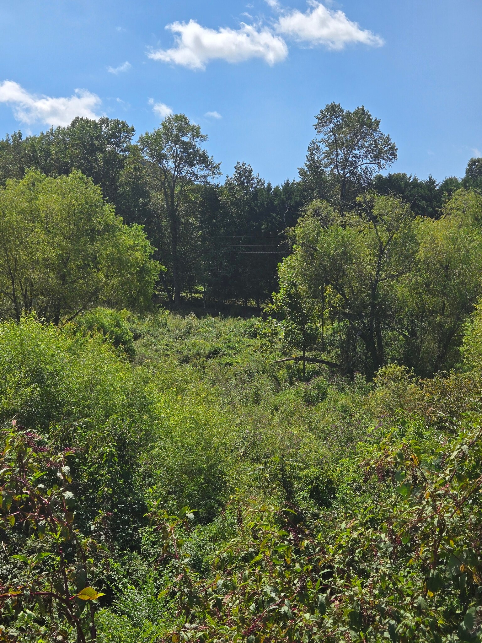 0 GA-115 Hwy, Cleveland, GA for Sale