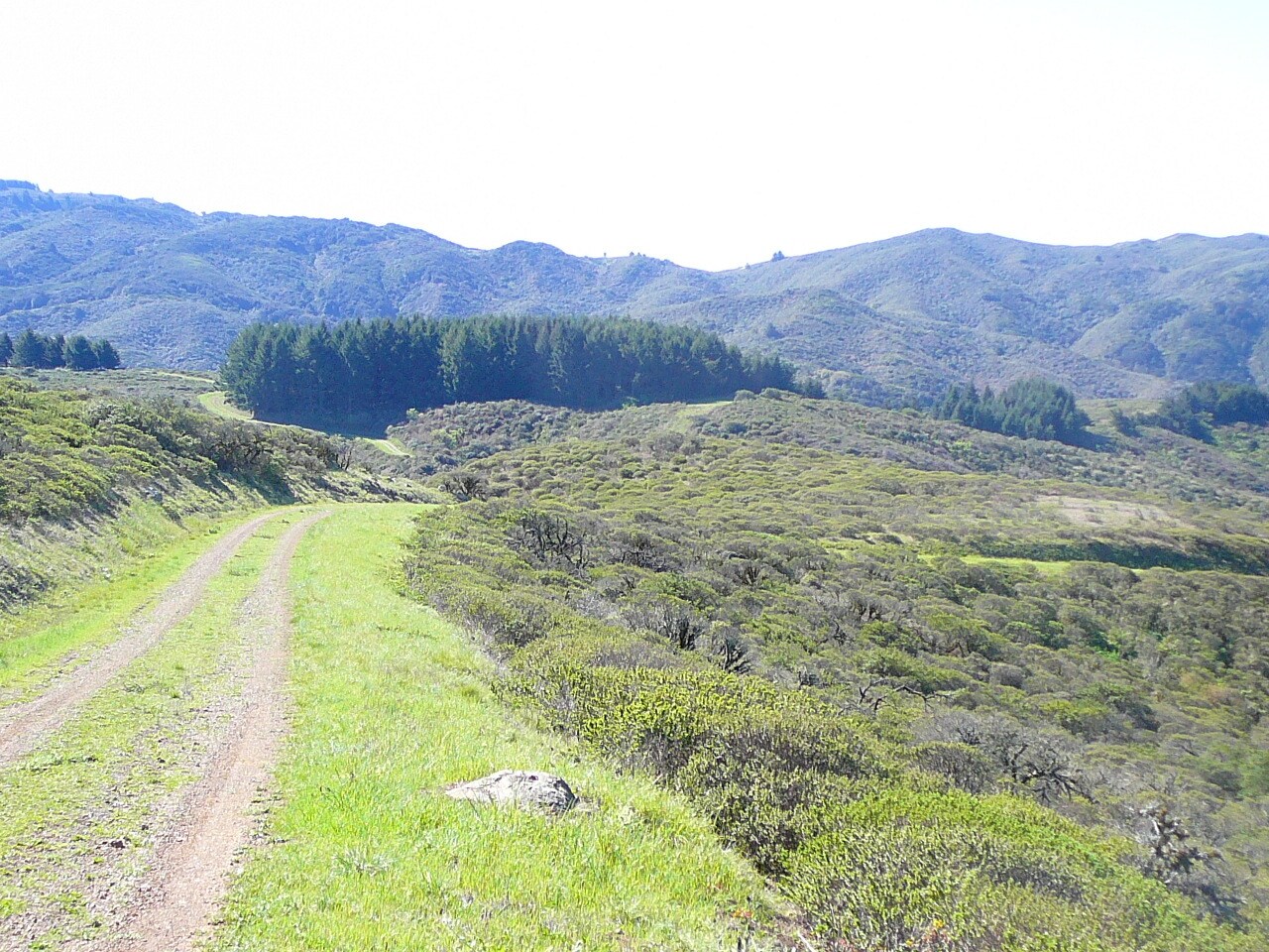 100 Weiler Ranch Road Pacifica, CA 94044 Land Property for Sale on