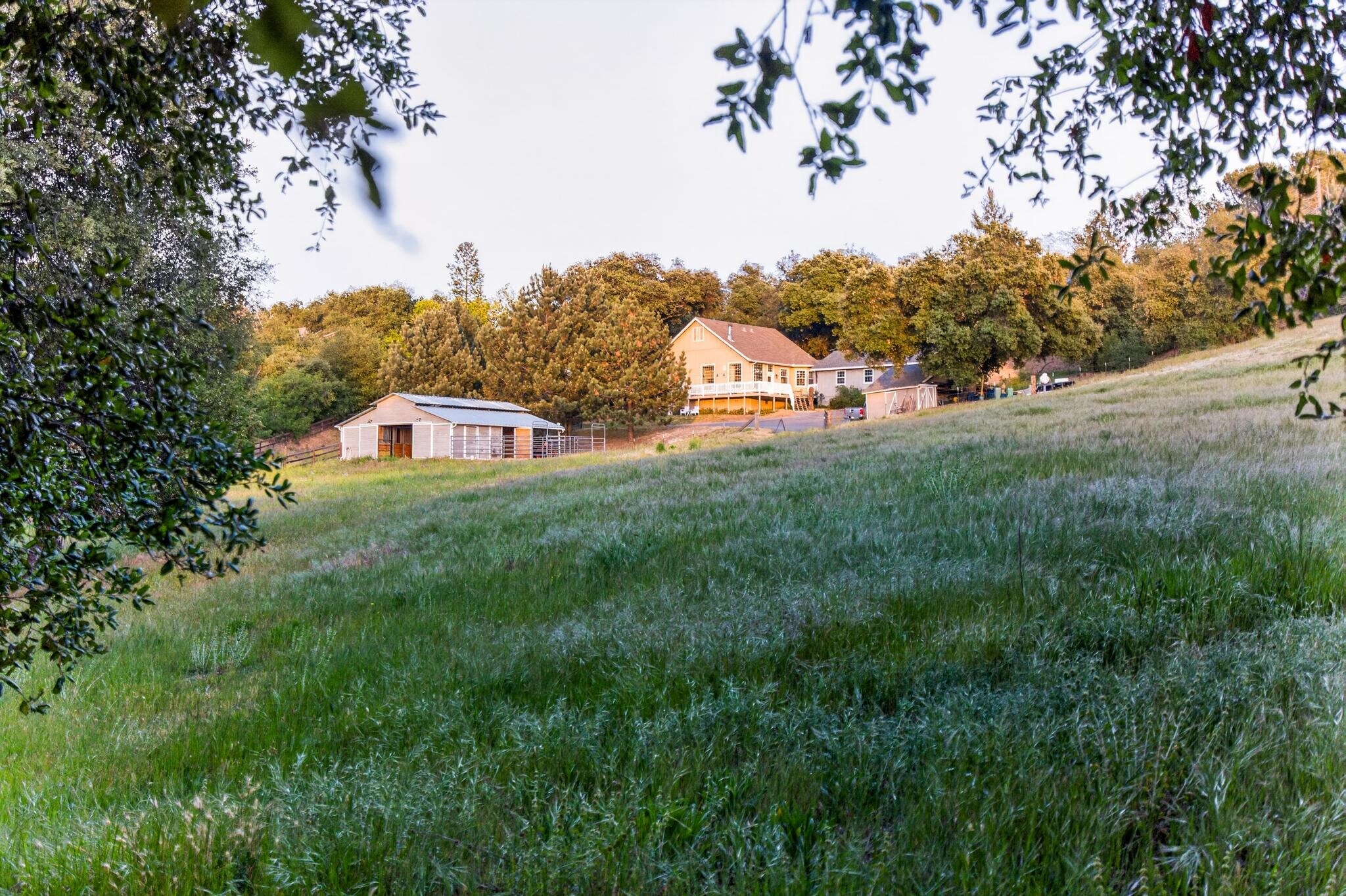 25350 Mesa Grande Rd, Santa Ysabel, CA for Sale