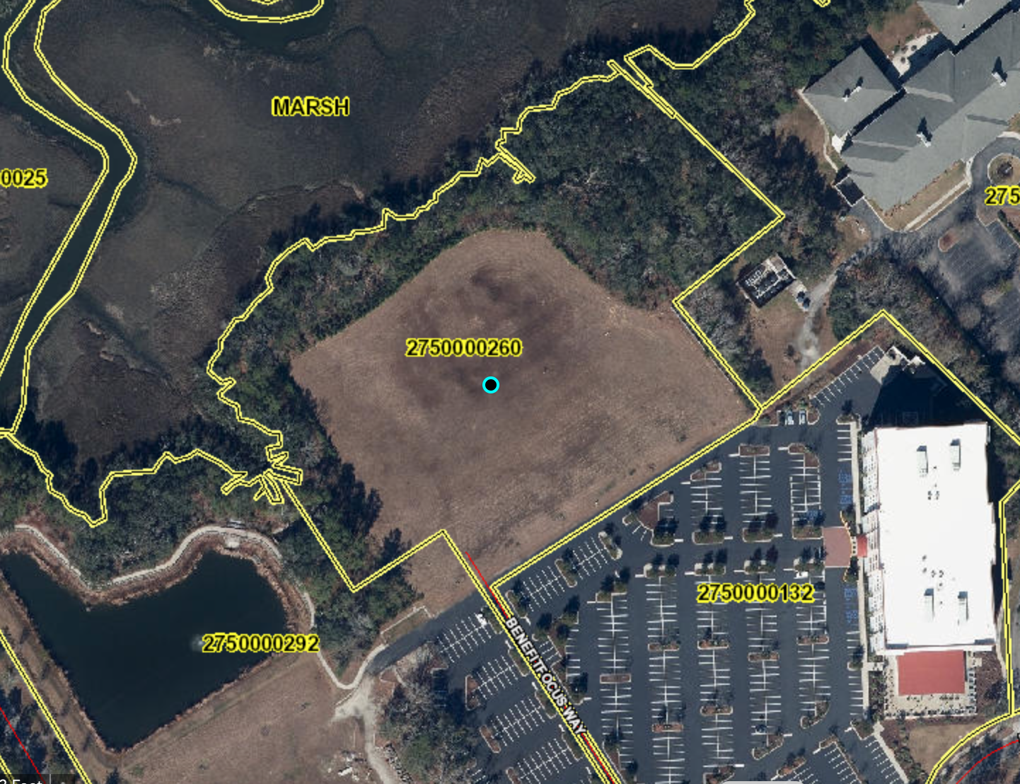 225 Benefitfocus, Daniel Island, SC for Sale