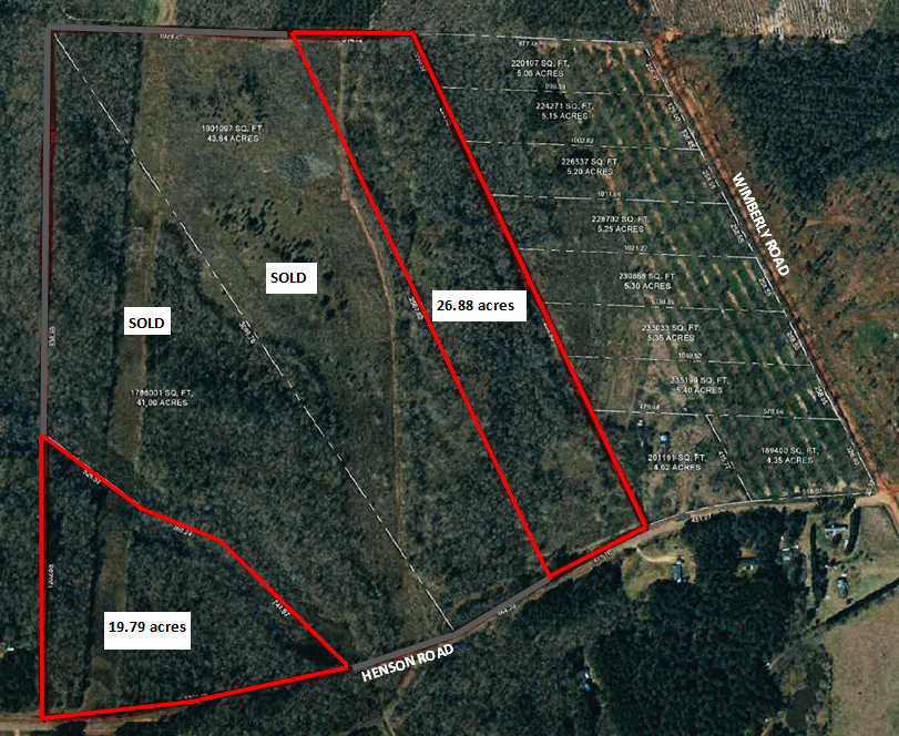 Henson Road, Hawkinsville, GA for Sale