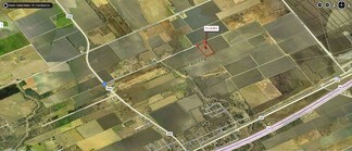 FM 2919 and King Rd