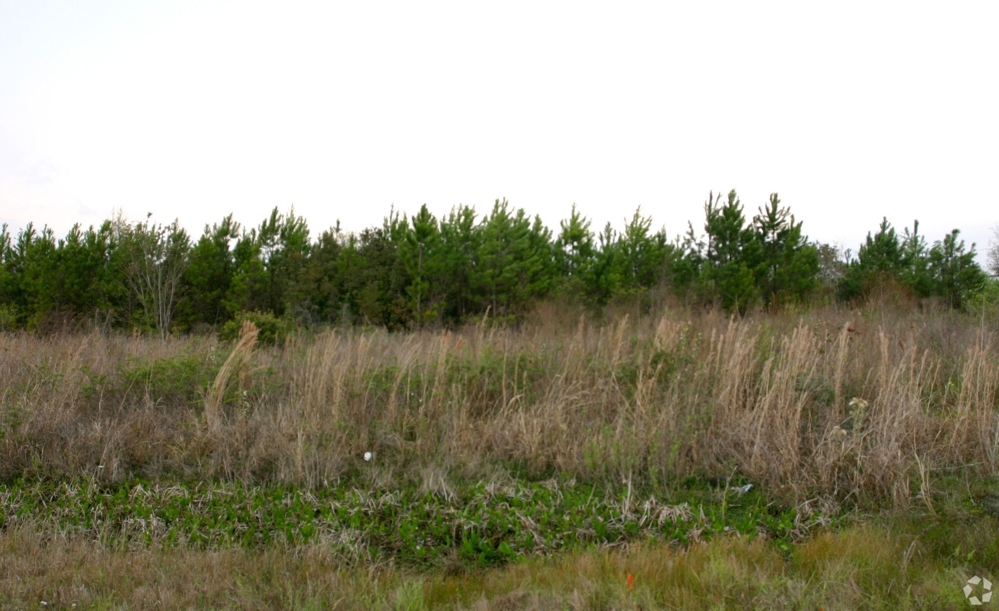 State Road 200, Yulee, FL for Sale