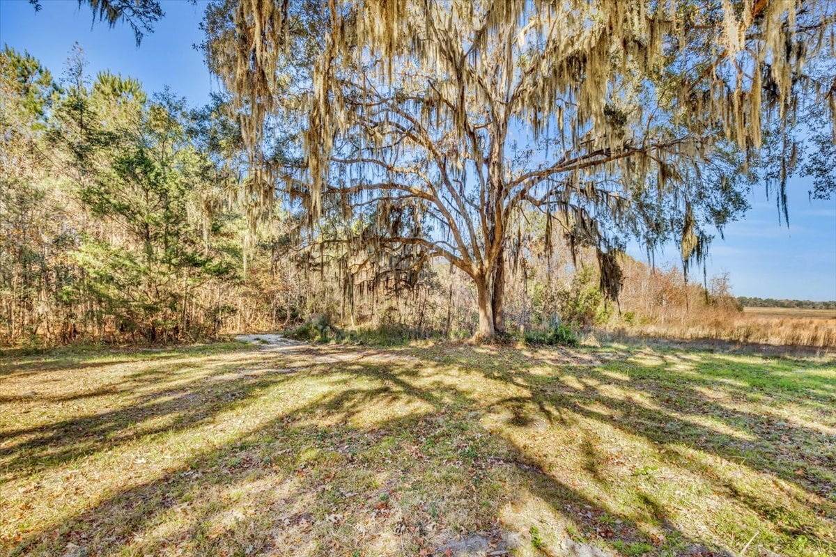 580 Old Gress Island Rd, Midway, GA for Sale