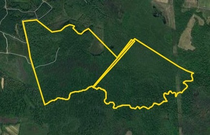 0 N Roxbury Mill Rd Rd, Woodford, VA for Sale
