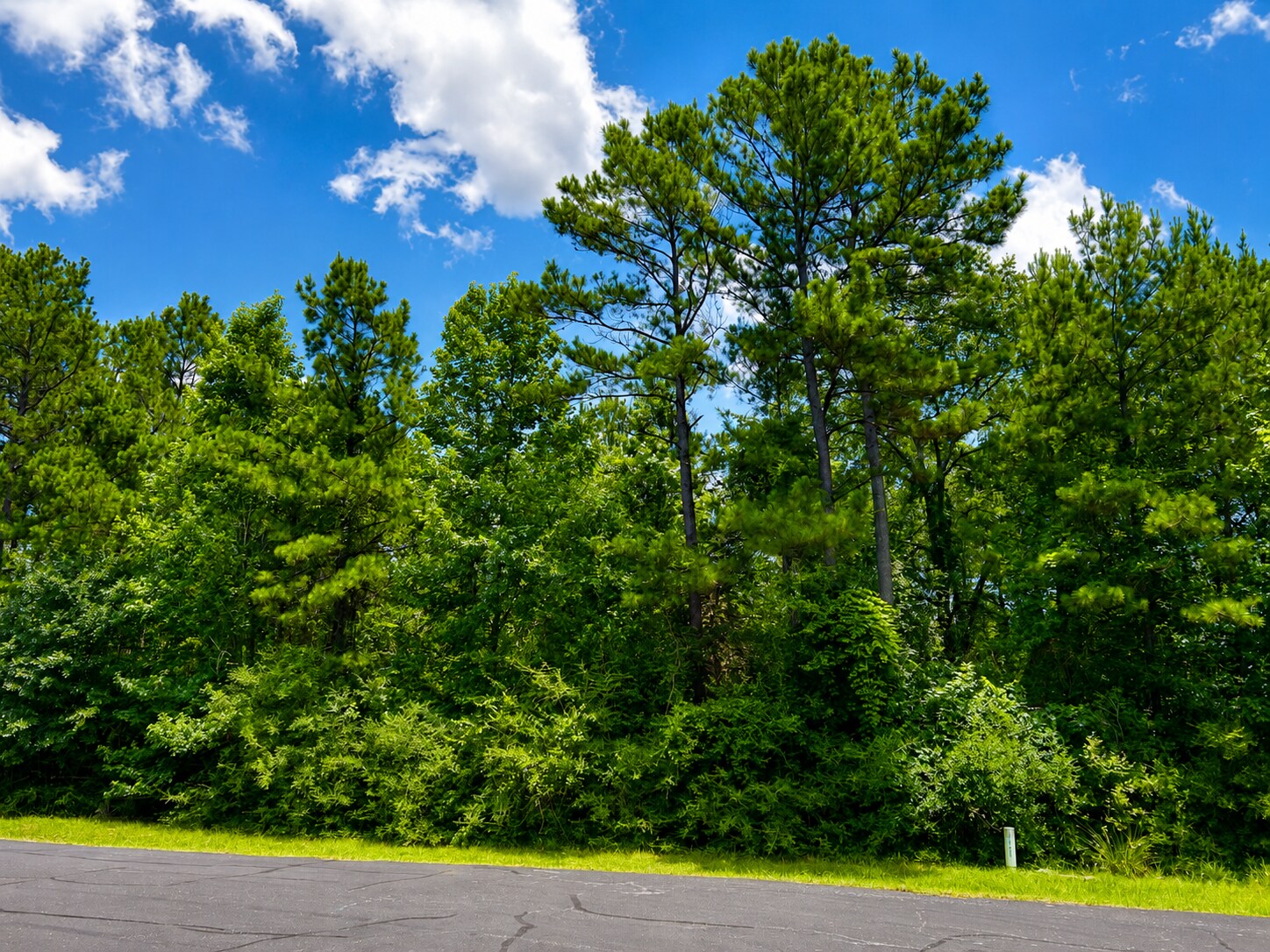 17847 Appaloosa dr, Waller, TX for Sale