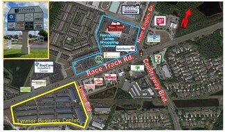 Tampa, FL Flex, Industrial - 12645 Race Track Rd