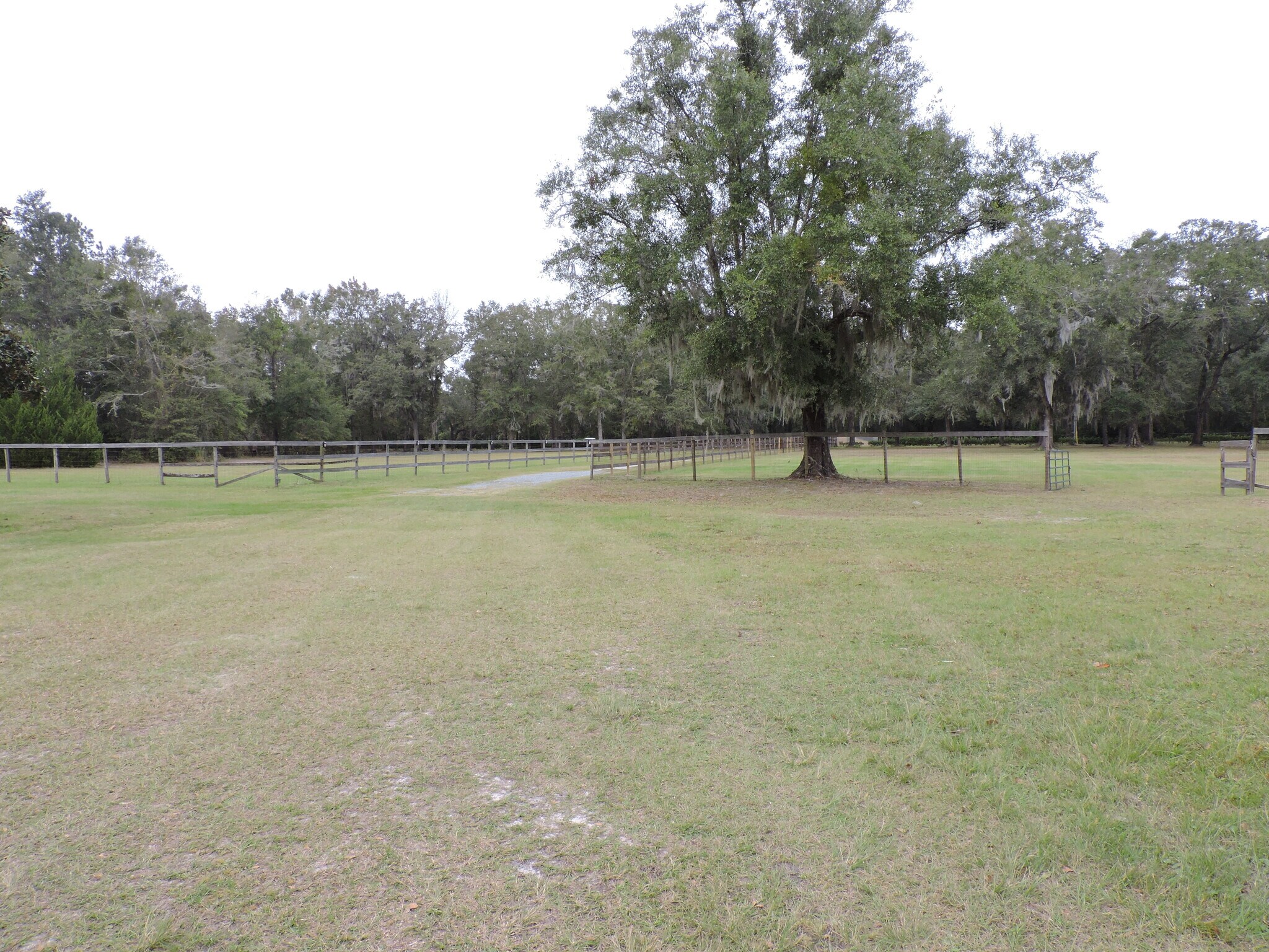 3750A County Road 315A, Green Cove Springs, FL for Sale