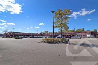 Rochester Hills, MI Retail - 2596-2674 S Rochester Rd