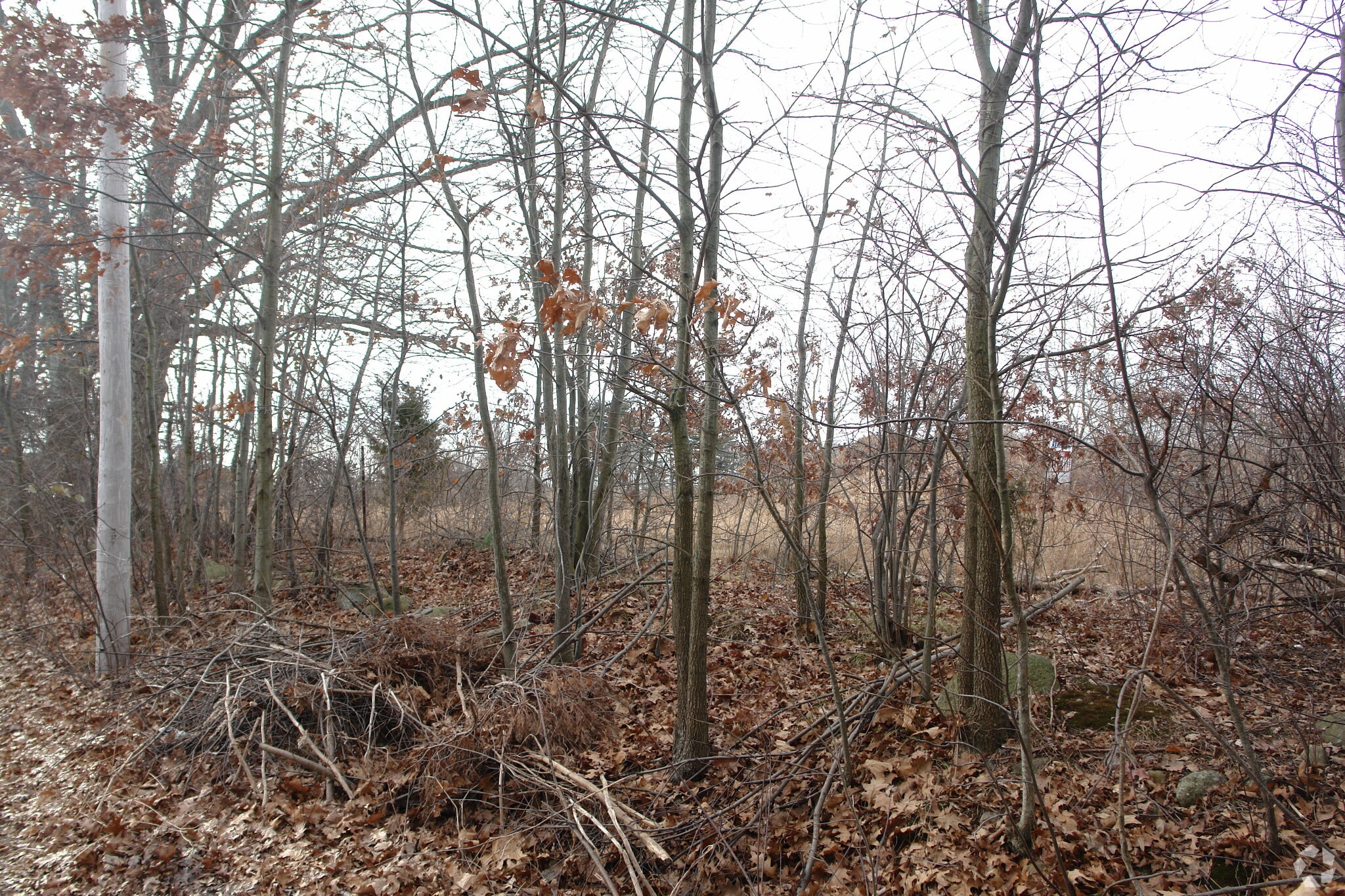 759 Union St, Franklin, MA for Sale