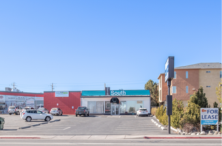 Reno, NV Retail - 215-250 S Wells Ave