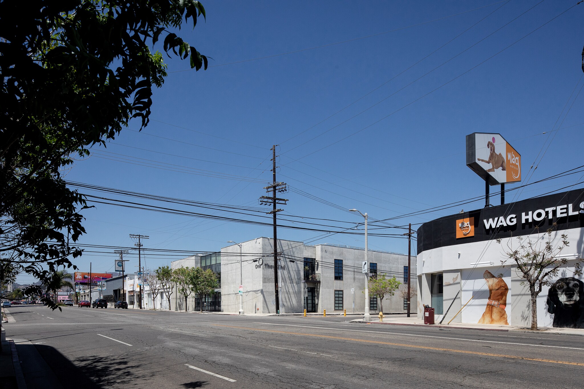 1000 N Highland Ave, Los Angeles, CA for Rent