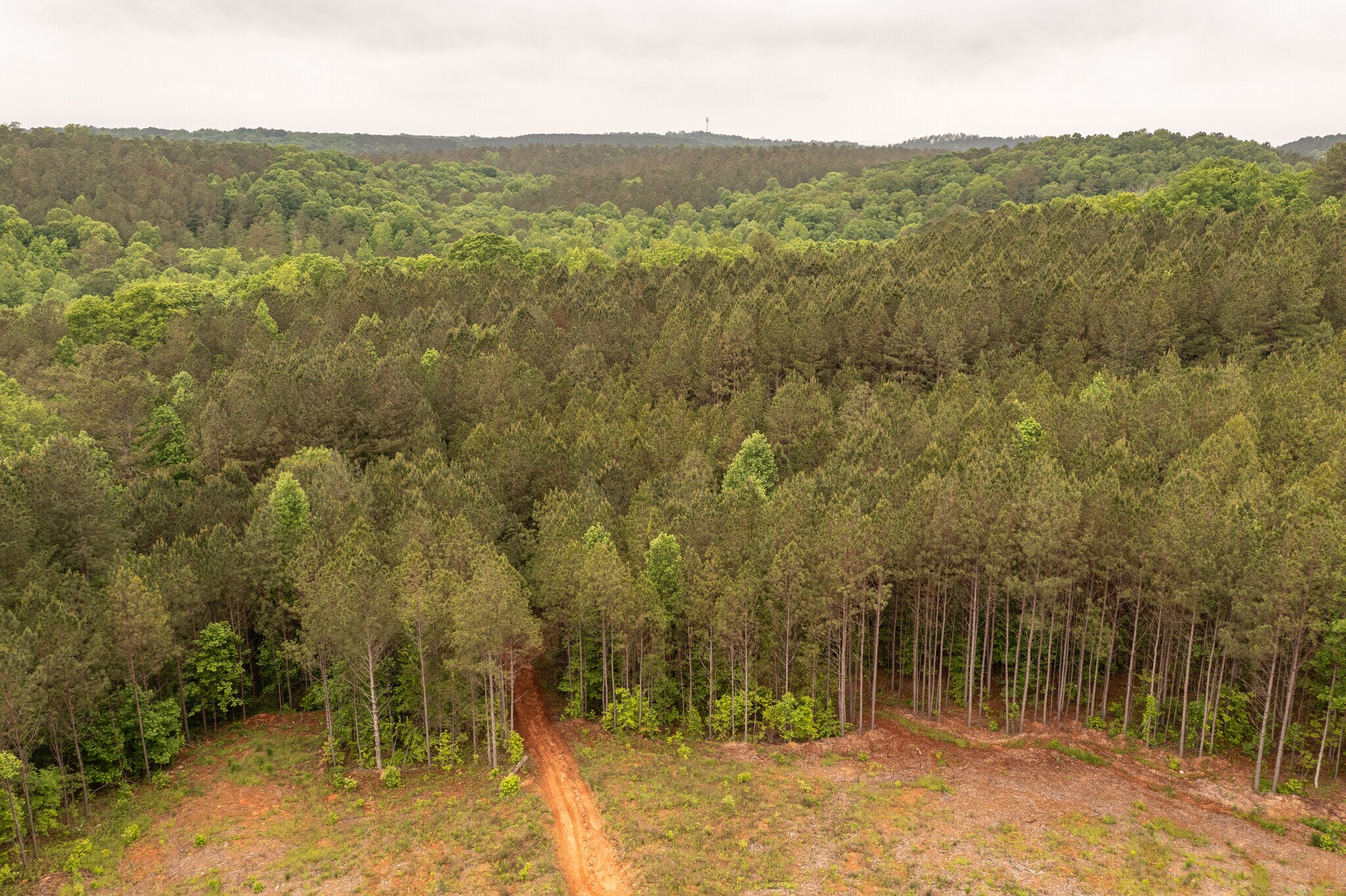 HWY 515 & Hidden Creek rd, Jasper, GA for Sale