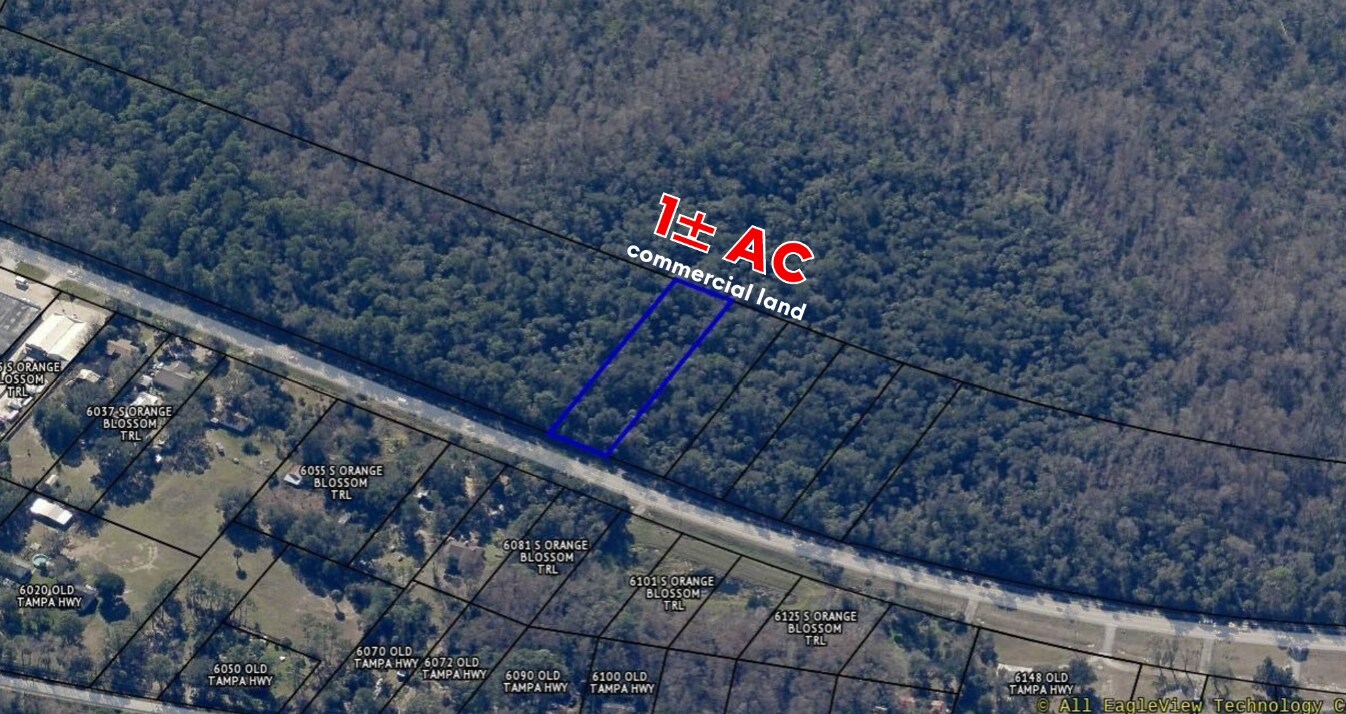 Orange Blossom Trl, Davenport, FL for Sale