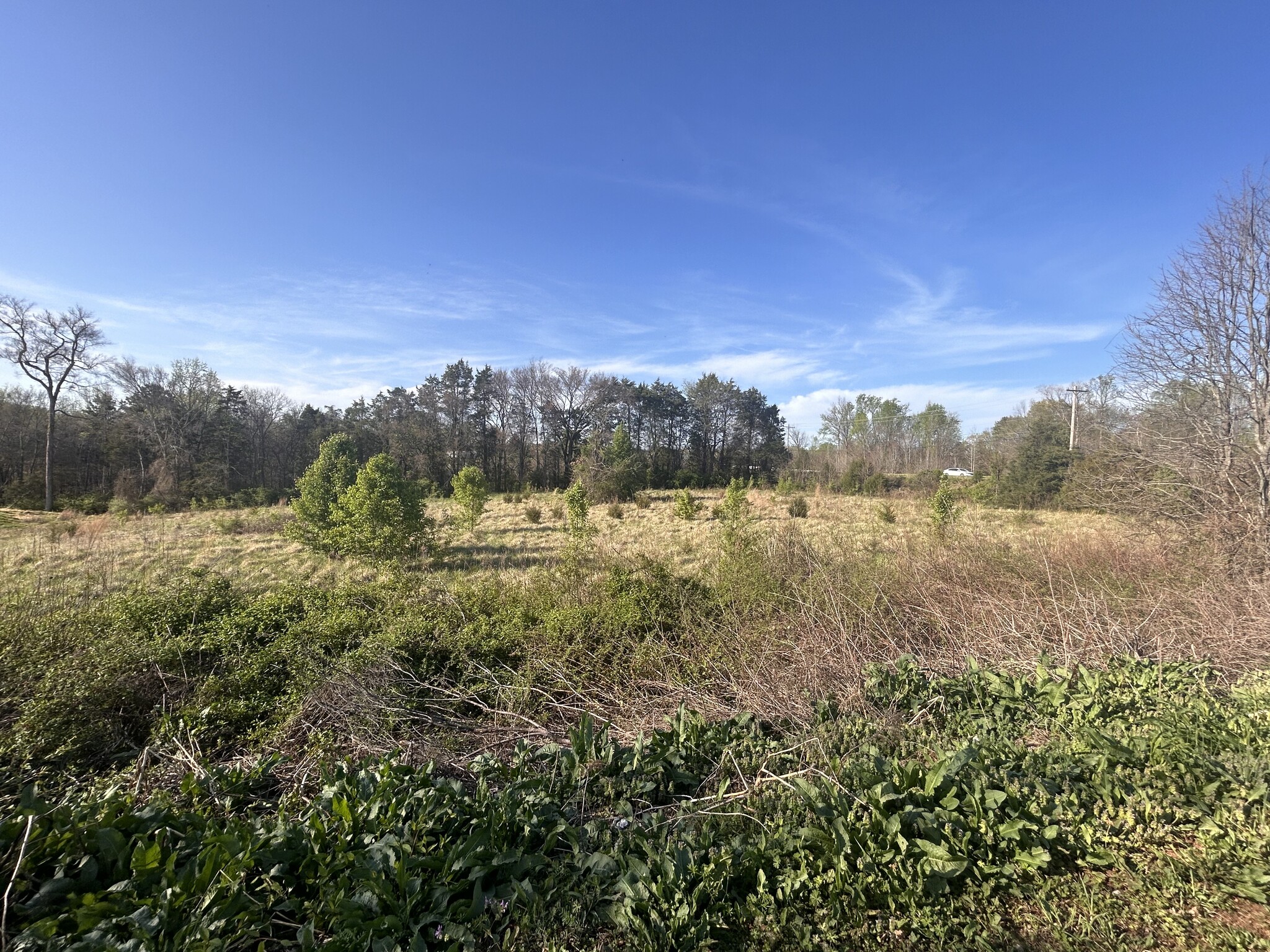 Kannapolis Pky, Kannapolis, NC for Sale
