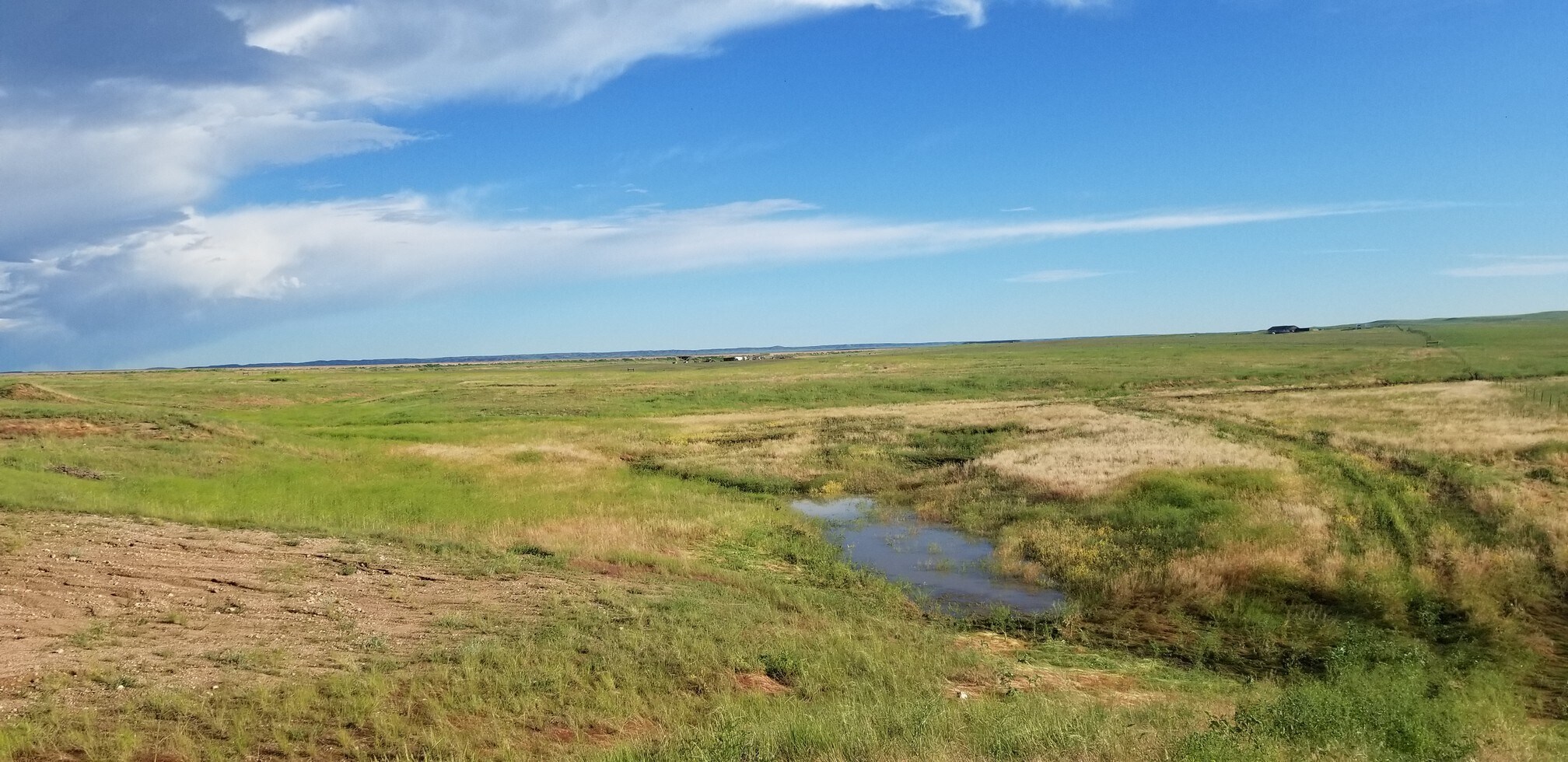 , Wellington, CO for Sale