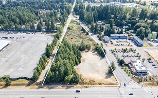Graham, WA Commercial Land - 10301 Eustis Hunt Rd E