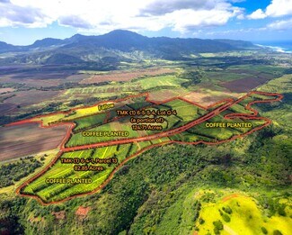 Waialua, HI Commercial Land - Kamehameha Highway