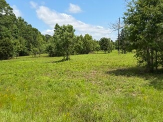 Picayune, MS Commercial - 3836 MS-43