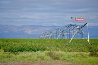 Van Horn, TX Agricultural - 10± miles NE of Van Horn