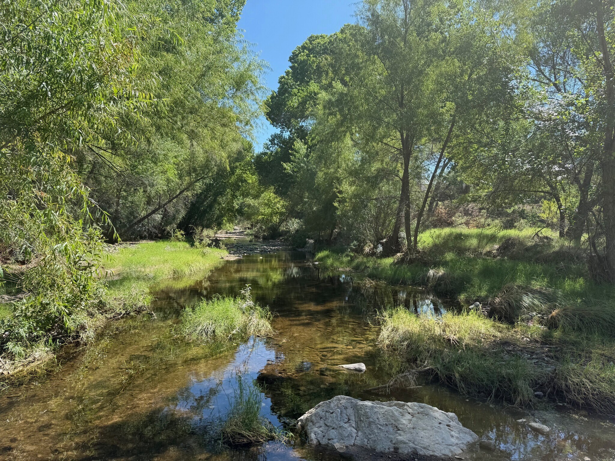 1800 Cibolo Creek Dr, Shafter, TX for Sale