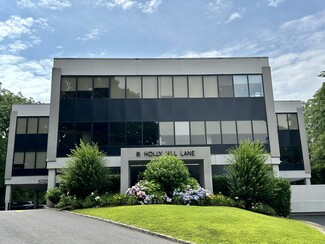 Greenwich, CT Office - 81 Holly Hill Ln