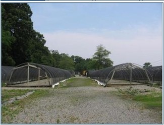 Dix Hills, NY Residential - 211 Burrs Ln