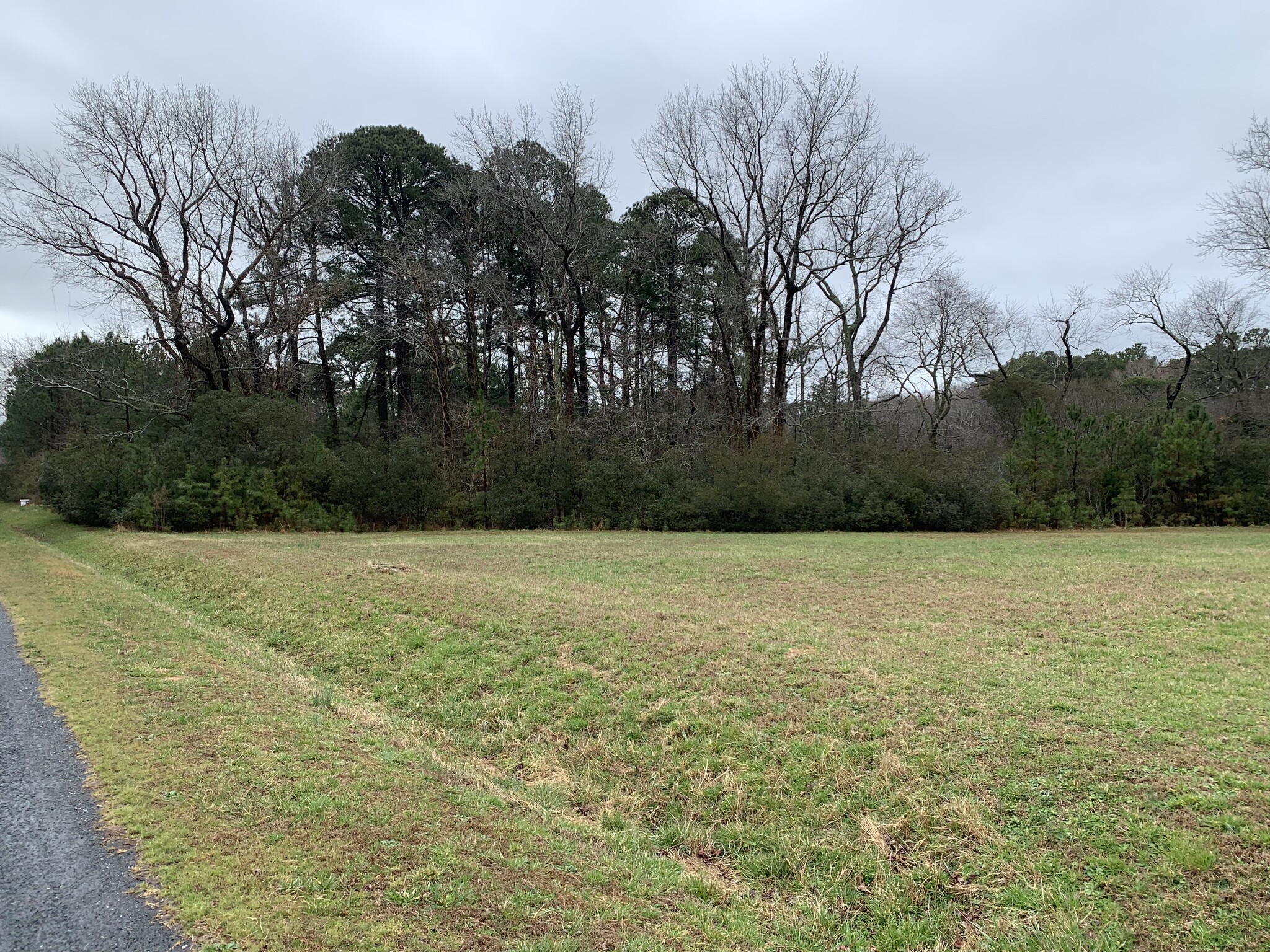 Lot 8 Peaceful Lakes, Exmore, VA for Sale
