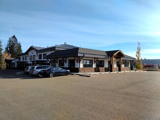 Red Deer County, AB Retail - 232 Spruce St