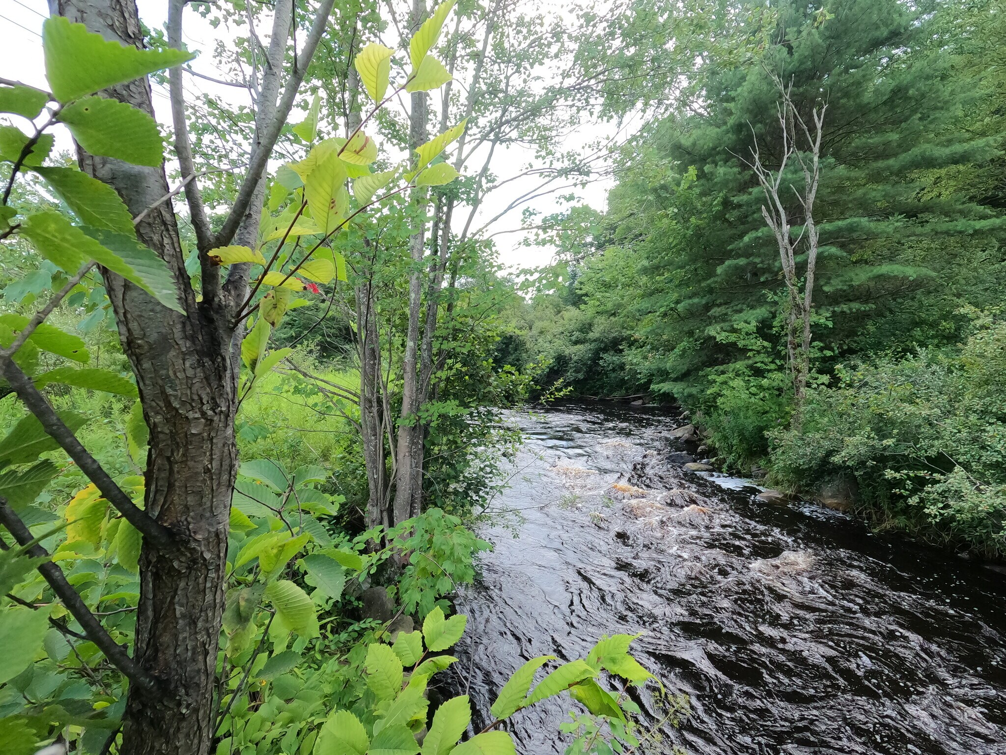 12 Mill St, Baldwinville, MA for Sale