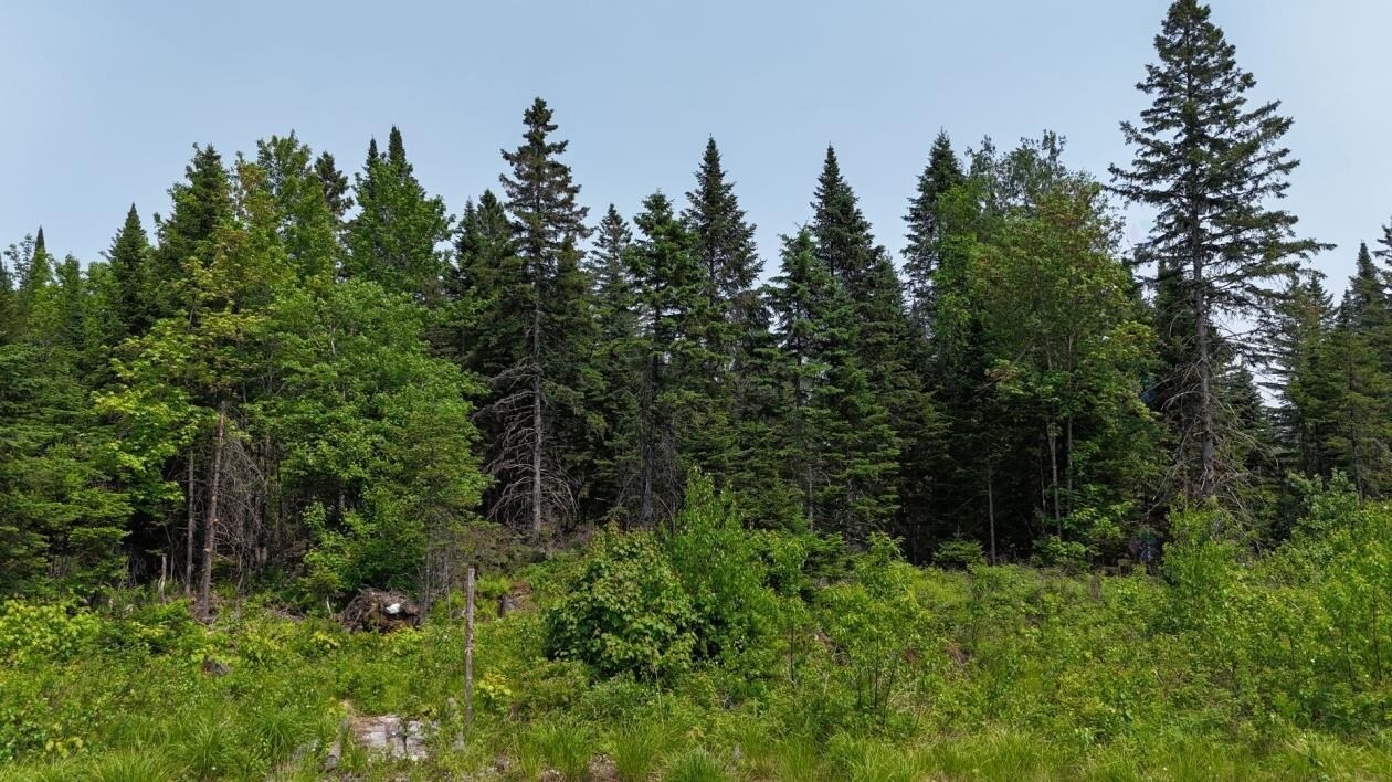 Rte 329, Mille-isles, QC for Sale