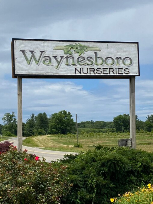 2591 Lyndhurst Rd, Waynesboro, VA for Sale