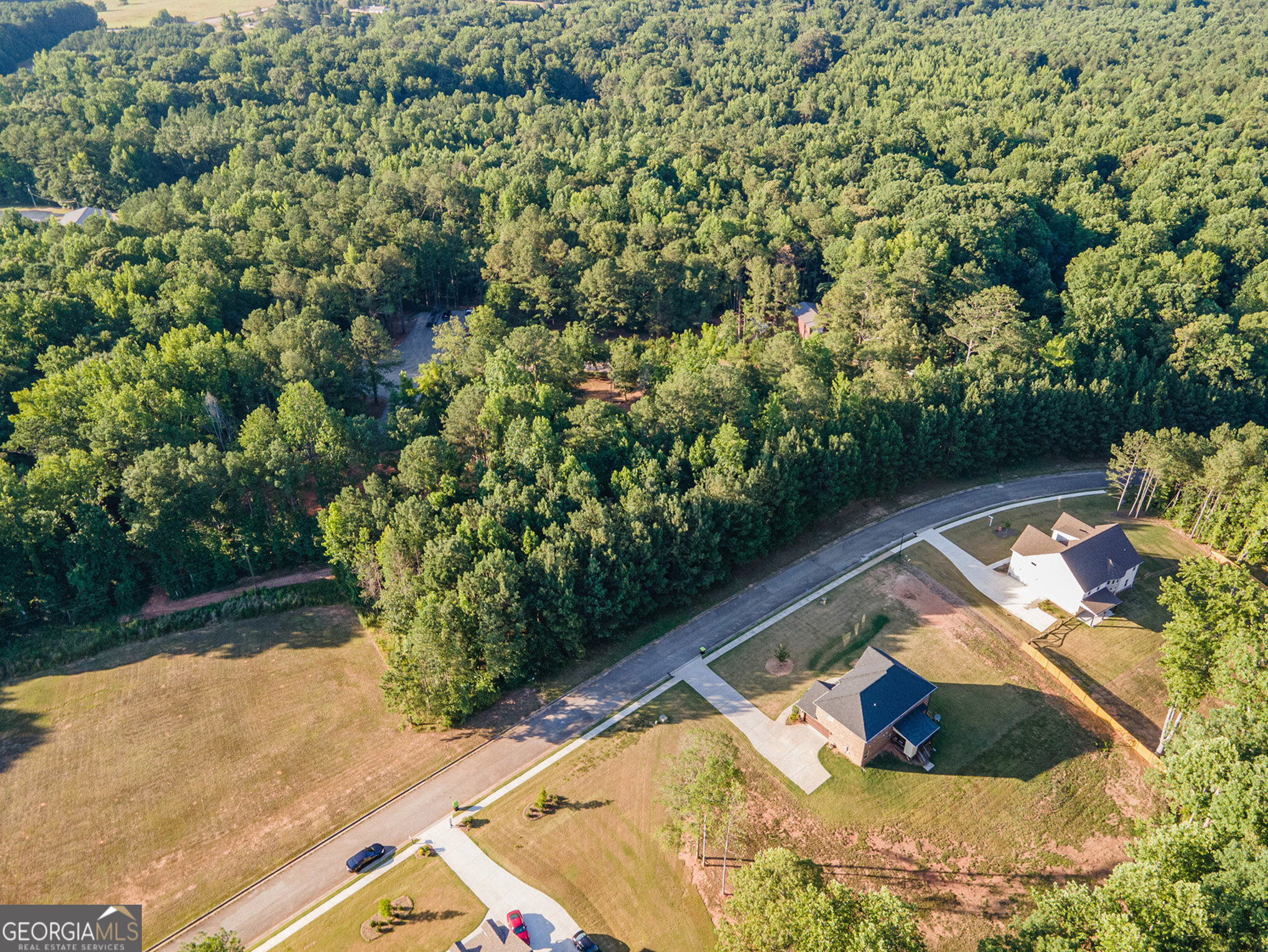 1022 Queens Bridge Way, Griffin, GA for Sale
