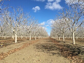 Firebaugh, CA Agricultural Land - California ave Firebaugh, CA Agricultural Land - California ave