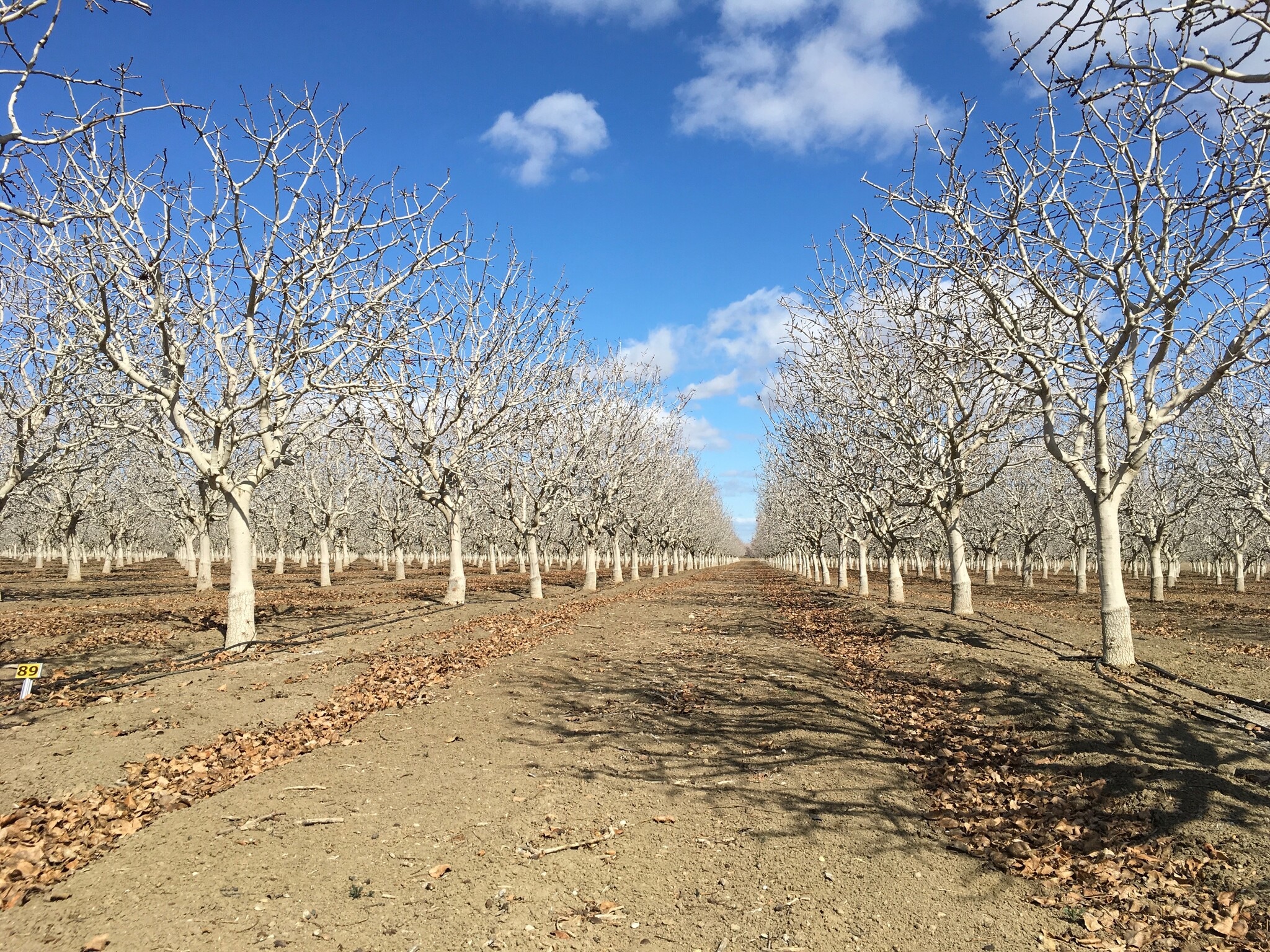 California ave, Firebaugh, CA for Sale