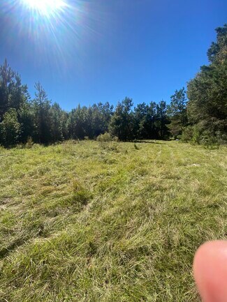 Ridgeville, SC Residential Land - 259 Interstate View Drive