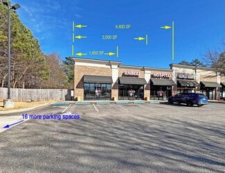 Cumming, GA Retail - 1675 Peachtree Pky