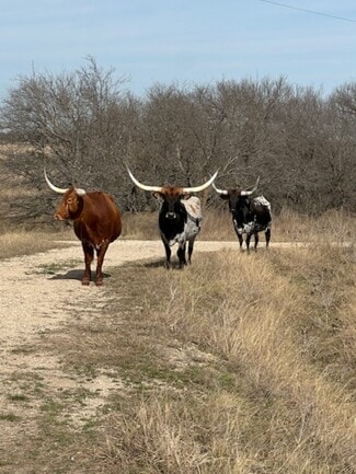 Grandview, TX Agricultural - 363 County Road 4403
